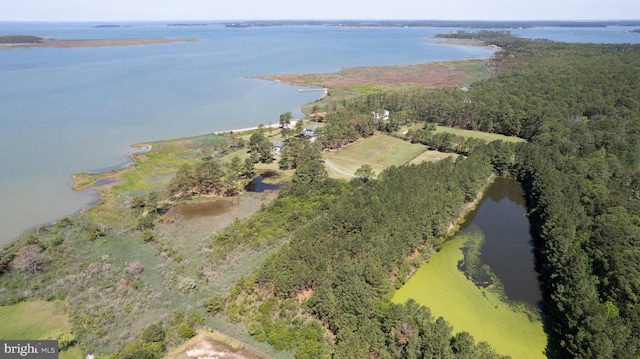 4906 Timbermarsh Ln, Woolford, MD 21677 - aerial view of property's location with a large body of water
