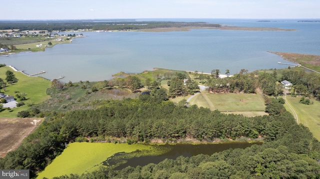 4906 Timbermarsh Ln, Woolford, MD 21677 - aerial view of property and surrounding area featuring a large body of water