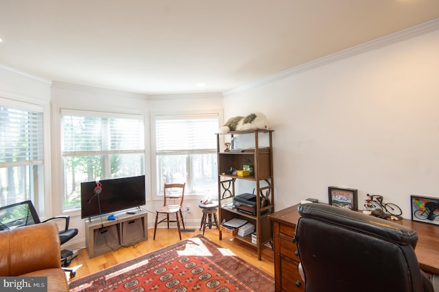 4906 Timbermarsh Ln, Woolford, MD 21677 - office space featuring light wood-style flooring, ornamental molding, and recessed lighting