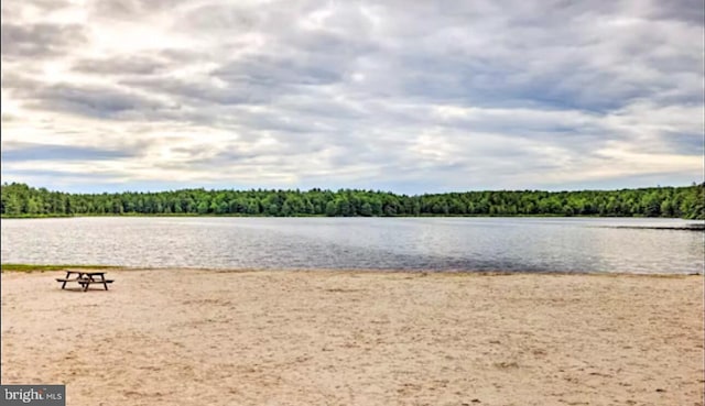 554 Pinecrest Dr, Pocono Pines, PA 18350 - water view featuring a forest