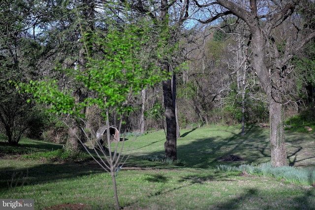 3947 Hebron Valley Rd, Madison, VA 22727 - view of property's community with a lawn