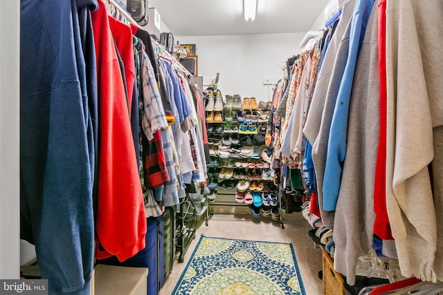 603 Admiral Dr Unit 204, Annapolis, MD 21401 - spacious closet with carpet floors