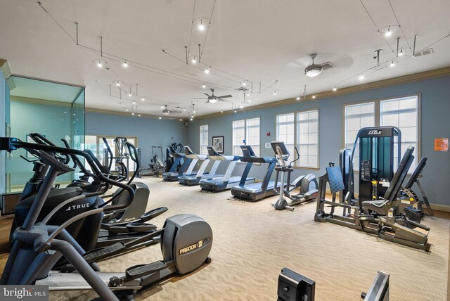 42432 Hollyhock Ter Unit 101, Brambleton, VA 20148 - exercise room with a ceiling fan, ornamental molding, baseboards, and carpet floors