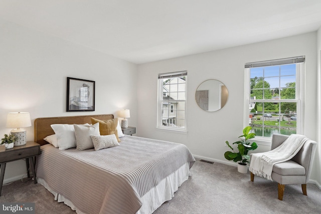 3316 Lakeside View Dr Unit 3-7, Falls Church, VA 22041 - carpeted bedroom with baseboards