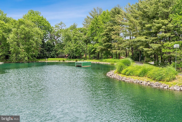 3316 Lakeside View Dr Unit 3-7, Falls Church, VA 22041 - water view