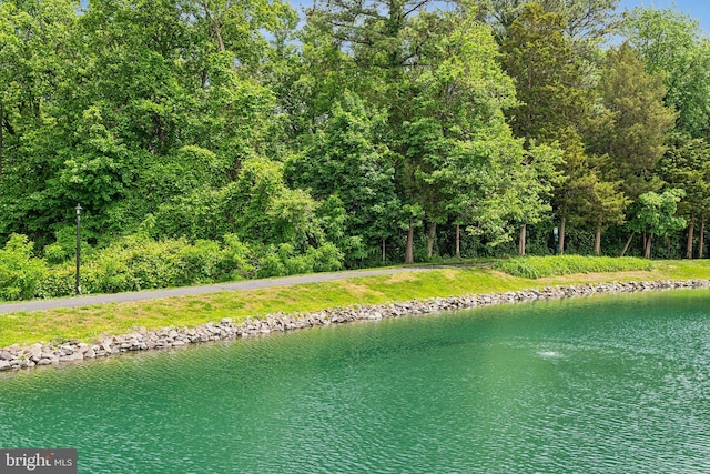 3316 Lakeside View Dr Unit 3-7, Falls Church, VA 22041 - water view