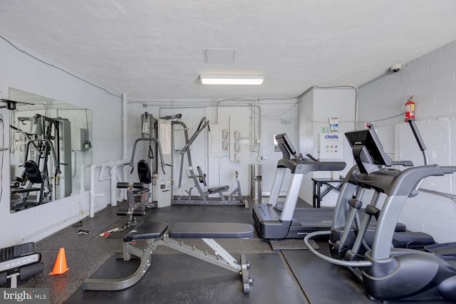2829 Connecticut Ave NW Unit 312, Washington, DC 20008 - workout area with concrete block wall
