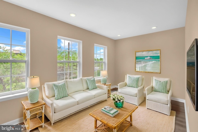 4820 Hayes St NE, Washington, DC 20019 - living area featuring baseboards, wood finished floors, and recessed lighting
