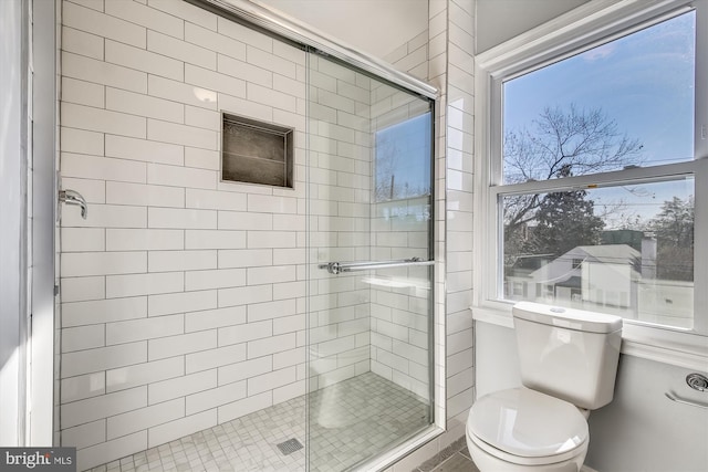 full bathroom featuring a shower stall and toilet