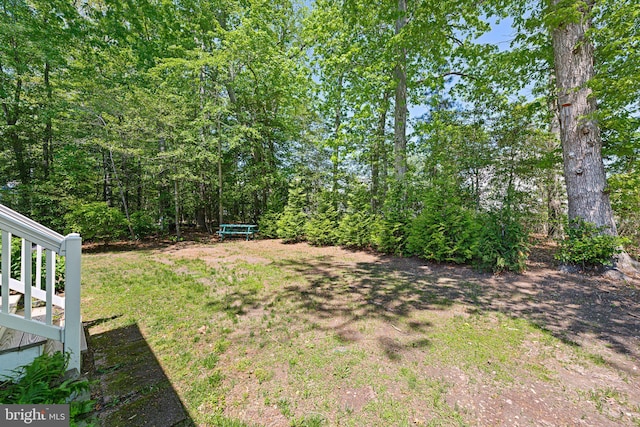 view of yard