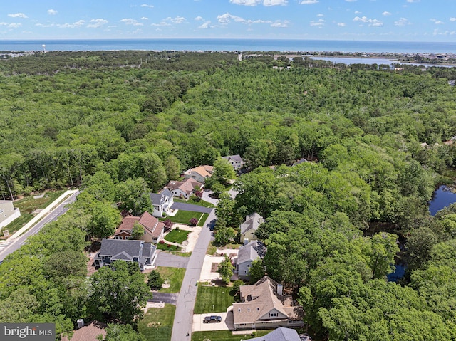 aerial perspective of suburban area with a forest and a large body of water