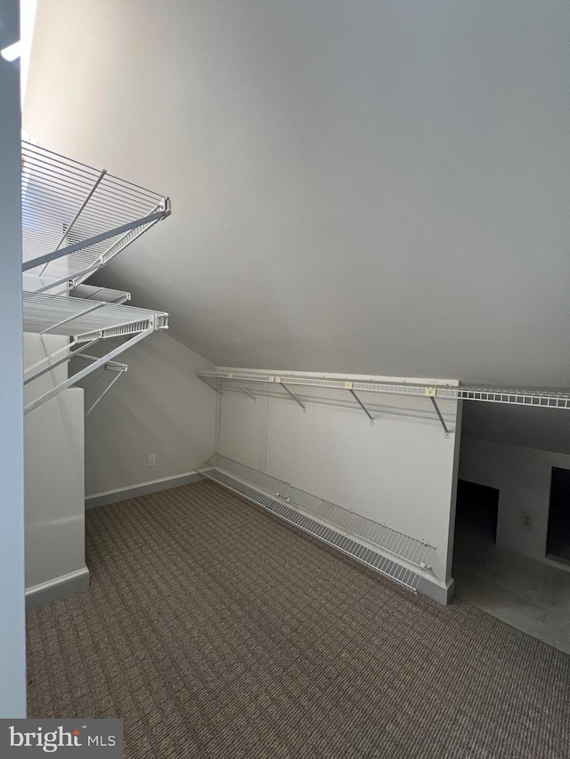 8107 Chester St, Takoma Park, MD 20912 - walk in closet featuring carpet floors