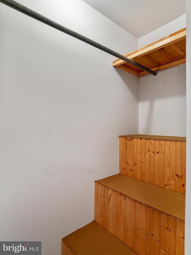 629 W Piedmont St, Keyser, WV 26726 - view of spacious closet