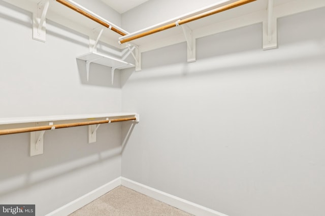 7702 Ousley Pl, Alexandria, VA 22315 - walk in closet with carpet