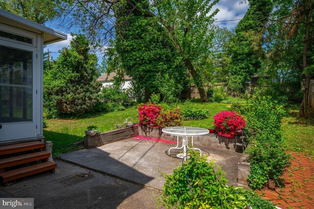 3902 Biddison Ln, Baltimore, MD 21206 - view of yard featuring entry steps and a patio