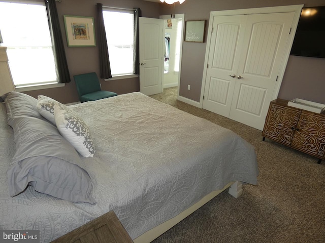 carpeted bedroom with multiple windows, a closet, and baseboards