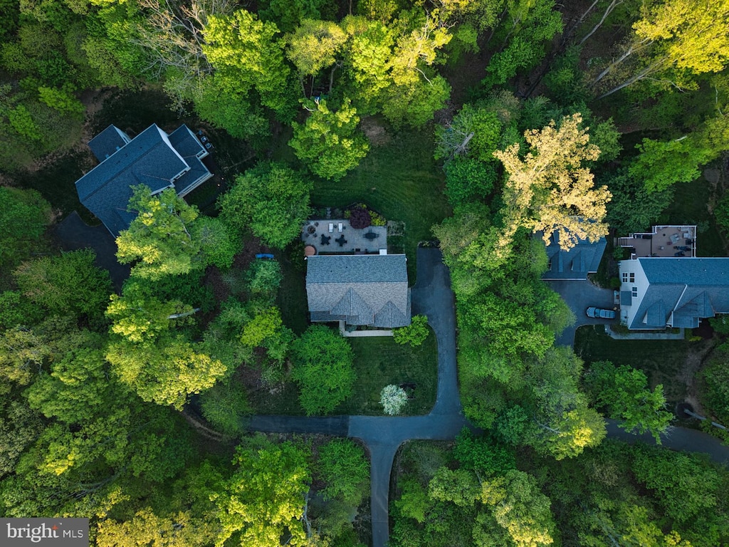 aerial view