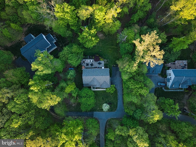 15066 Frederick Rd, Cooksville, MD 21723 - bird's eye view