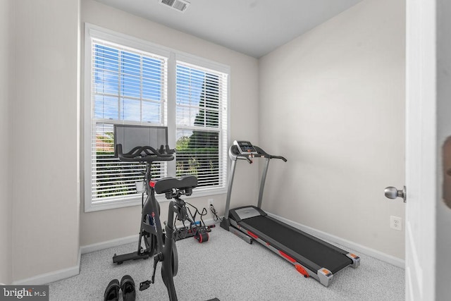 exercise area featuring baseboards, healthy amount of natural light, and carpet