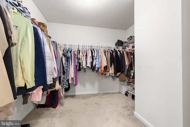 27 Hopkins Branch Way, Fredericksburg, VA 22406 - spacious closet with carpet flooring