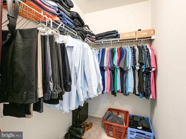 1711 Butternut Cir, West Chester, PA 19382 - spacious closet with carpet