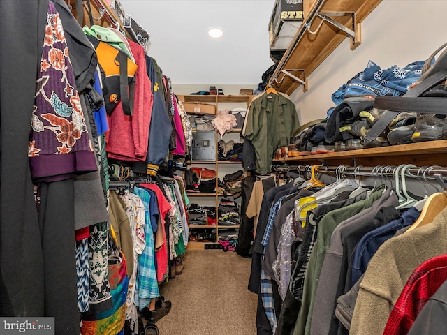 24129 Pecan Grove Ln, Gaithersburg, MD 20882 - spacious closet featuring carpet flooring