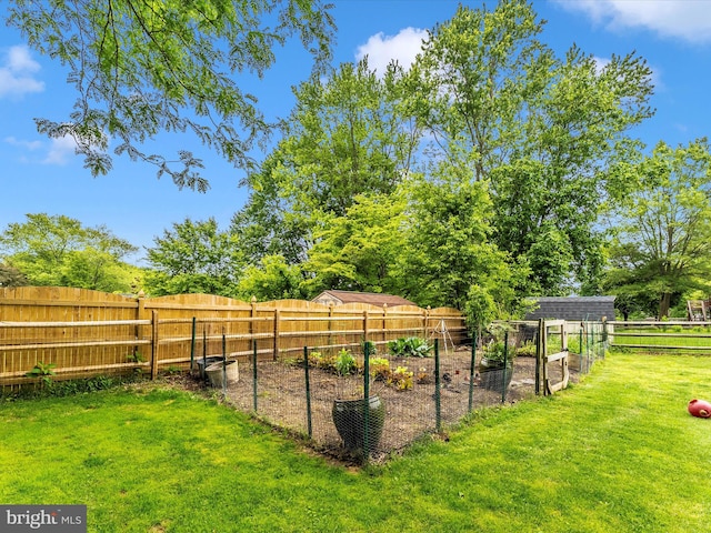 24129 Pecan Grove Ln, Gaithersburg, MD 20882 - view of yard featuring a garden