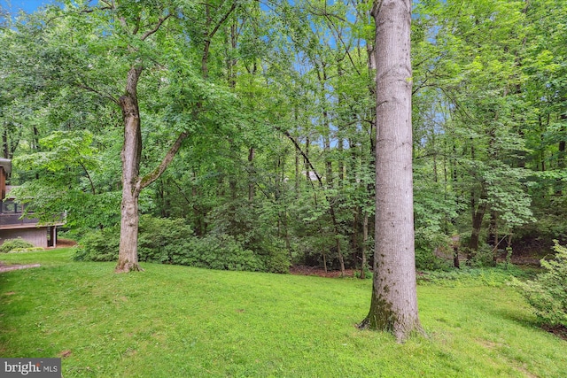 view of grassy yard with a wooded view