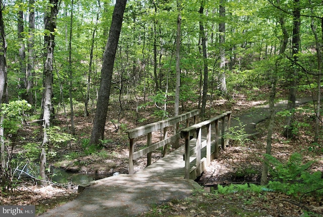 view of road featuring a view of trees