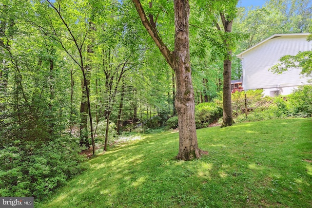 view of grassy yard