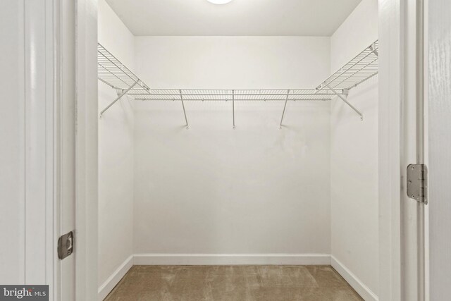 400 Cameron Station Blvd Unit 417, Alexandria, VA 22304 - walk in closet with light colored carpet