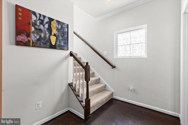 2121 River Heritage Blvd, Dumfries, VA 22026 - stairs with ornamental molding, baseboards, and wood finished floors