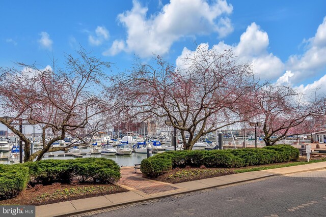 1252 Harbor Island Walk, Baltimore, MD 21230 - view of street with sidewalks, a water view, and curbs