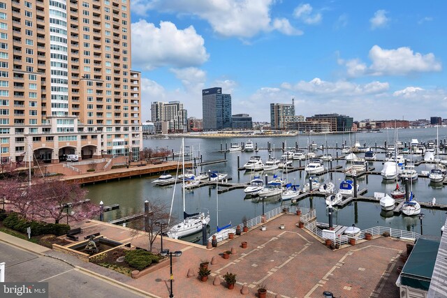 1252 Harbor Island Walk, Baltimore, MD 21230 - water view featuring nearby urban area and numerous boat docks