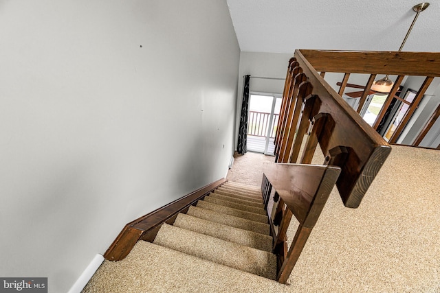 28 Chatham Ct, Dover, DE 19901 - stairs with carpet and baseboards
