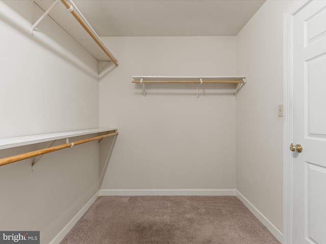 1412 Magruder Ct, Winchester, VA 22601 - walk in closet featuring carpet floors