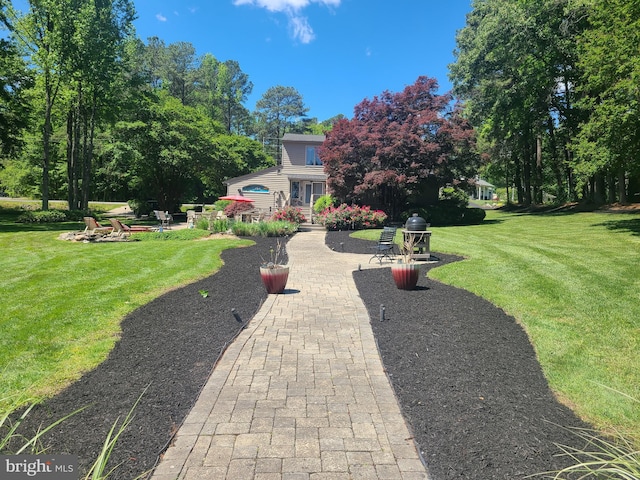 view of grassy yard with a patio area