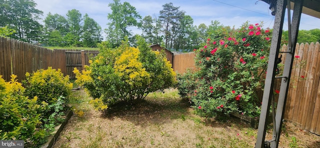 9422 Windpine Rd Unit 9422, Baltimore, MD 21220 - view of fenced backyard