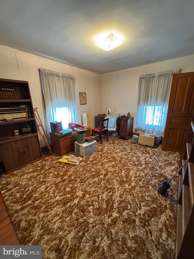 bedroom with multiple windows
