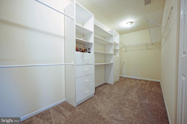 spacious closet with carpet flooring