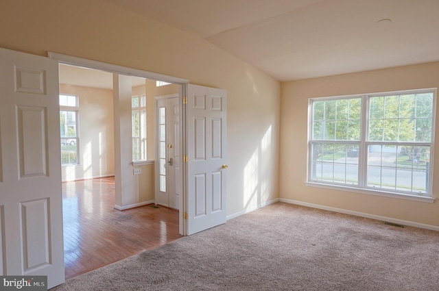 carpeted foyer entrance featuring plenty of natural light and baseboards