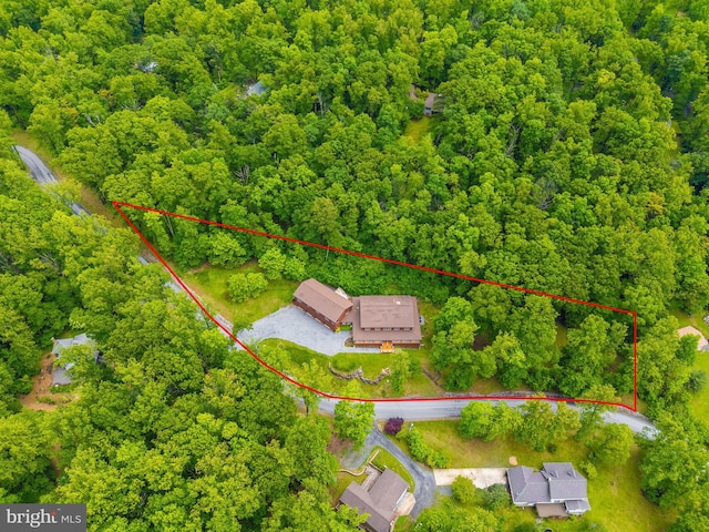 94 Tomahawk Way, Linden, VA 22642 - aerial overview of property's location with property parcel outlined and a forest