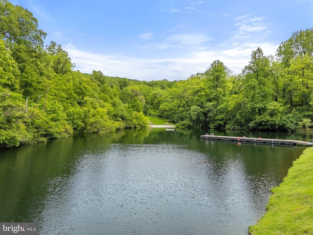 94 Tomahawk Way, Linden, VA 22642 - water view with a forest