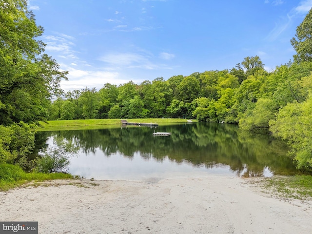 94 Tomahawk Way, Linden, VA 22642 - water view with a heavily wooded area
