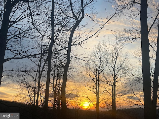 94 Tomahawk Way, Linden, VA 22642 - water view