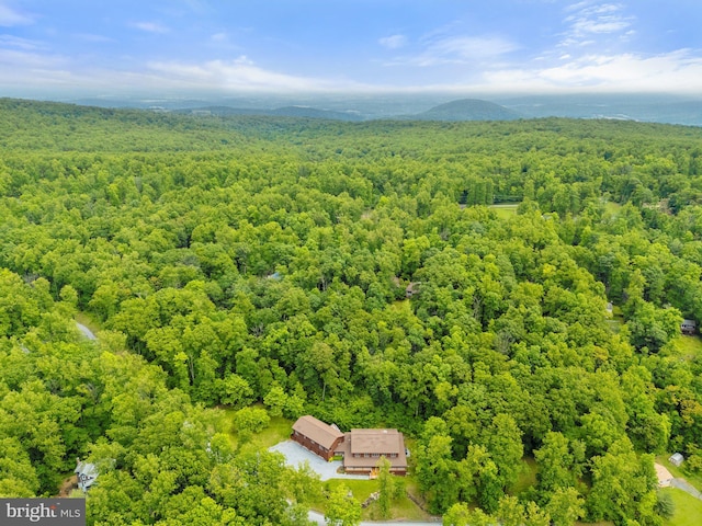 94 Tomahawk Way, Linden, VA 22642 - bird's eye view of a forest
