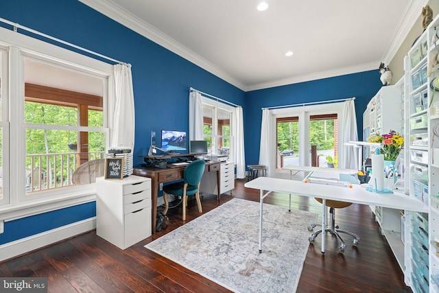 94 Tomahawk Way, Linden, VA 22642 - office space featuring ornamental molding, dark wood-style flooring, recessed lighting, and baseboards