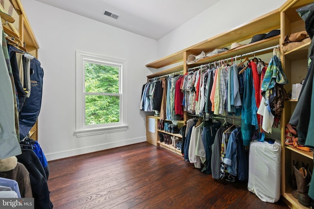 94 Tomahawk Way, Linden, VA 22642 - spacious closet featuring hardwood / wood-style floors