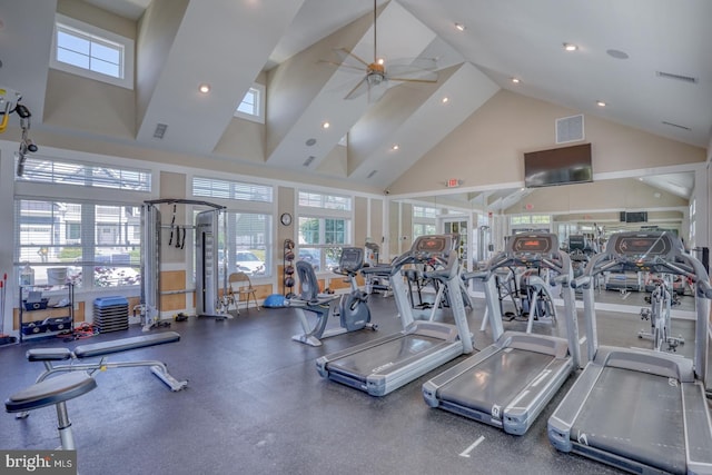 20785 Rodney Dr, Rehoboth Beach, DE 19971 - gym featuring high vaulted ceiling and ceiling fan