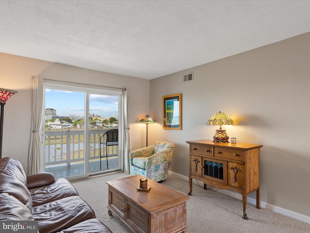 117 76th St Unit 302, Ocean City, MD 21842 - carpeted living room with baseboards and a textured ceiling